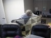 AIMG_1186-1